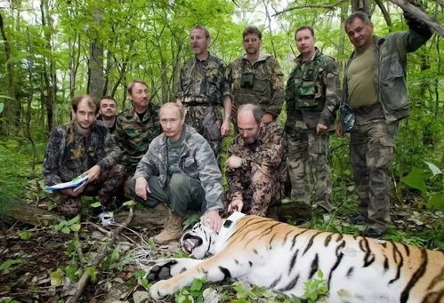 乌男子逃兵役用猫暖身奇迹存活