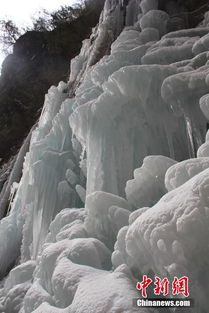 赛里木湖震撼现身，10米高冰柱构筑冰雪奇观